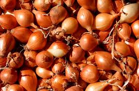 Vöröshagyma -1 kg