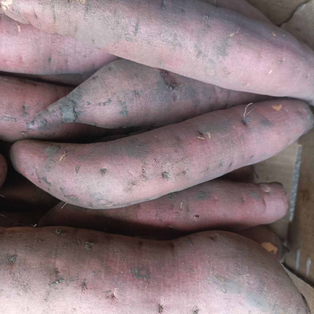 Édesburgonya (Batáta) -sárga húsú - I.o. -1 kg