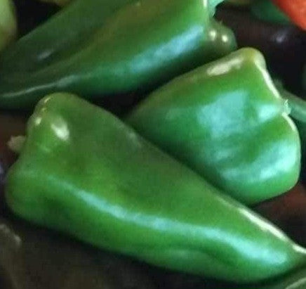 Kápia paprika zöld 0,5 kg