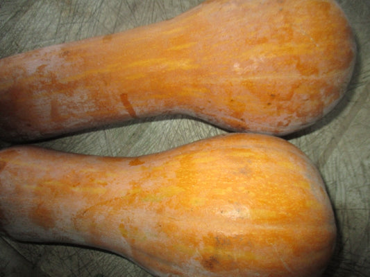 Bio Sütőtök -Orange