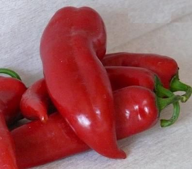 Bio Kápia Paprika -piros