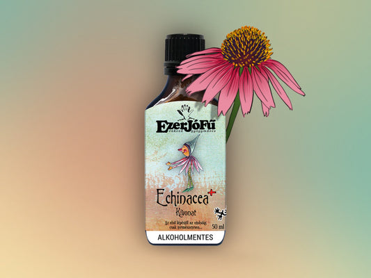 EzerJóFű -Echinacea+ alkoholmentes kivonat(50ml)