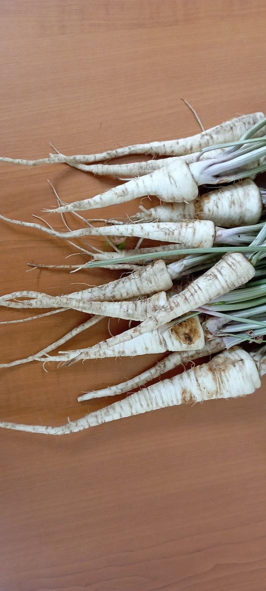 Petrezselyem gyökér -250 g