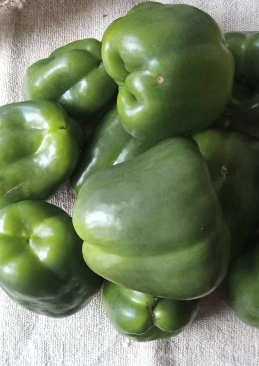 Kaliforniai paprika - zöld -50dkg