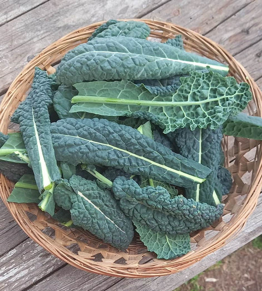 Vadkáposzta - Leveles kel - 100g