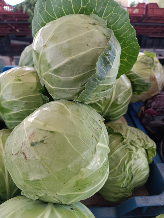 Káposzta -kb. 0,8 - 1,4 kg