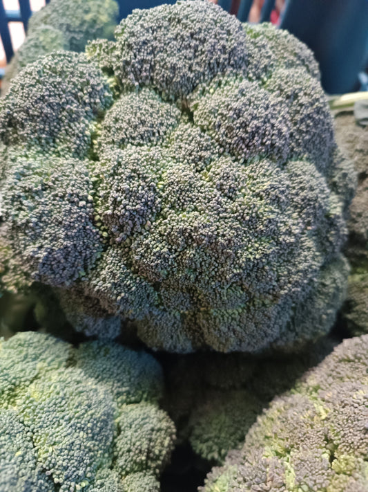 Brokkoli - kb. 50 dkg