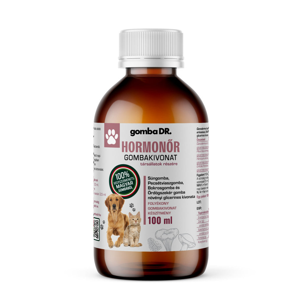 gomba DR. HORMONŐR gombakivonat társállatok részére