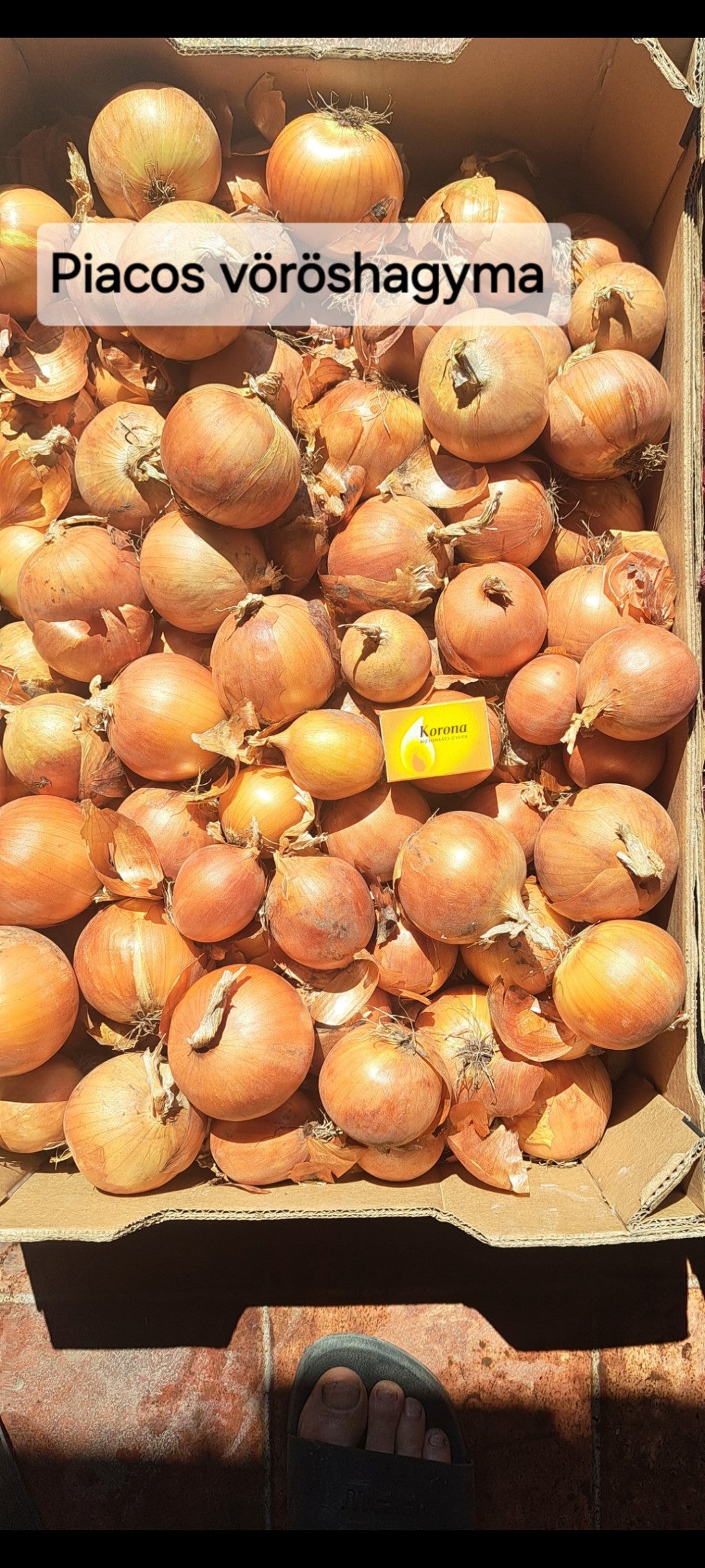 Vöröshagyma piacos méret -1 kg