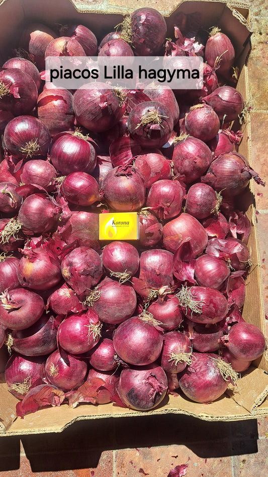Lilla hagyma nagy méret